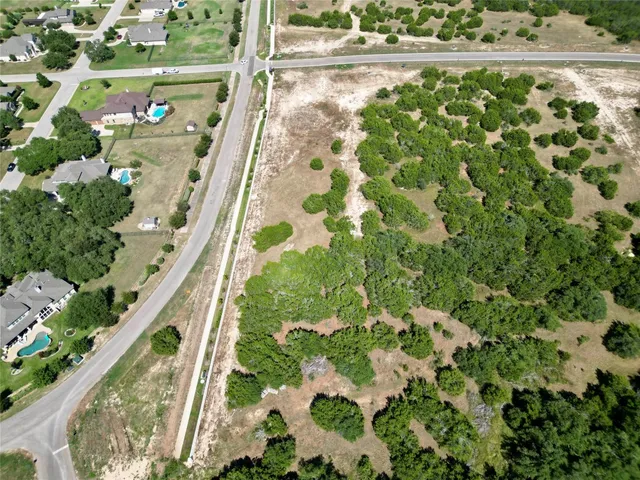 a view of a garden with a lot of flowers