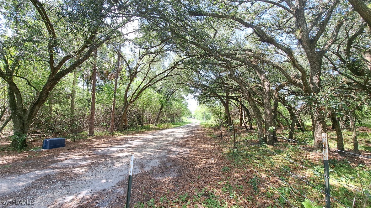 a view of outdoor space with trees