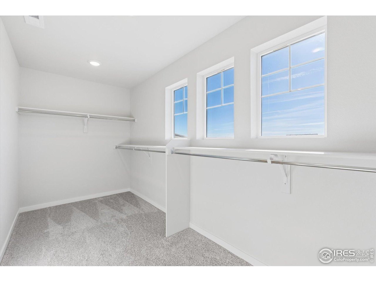 866 Mesic Lane Windsor, CO 80550 - Photo 22 of 32