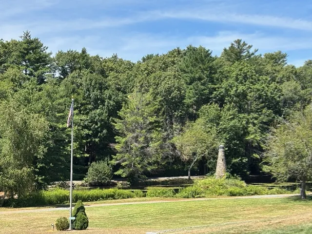 a view of a park with large trees