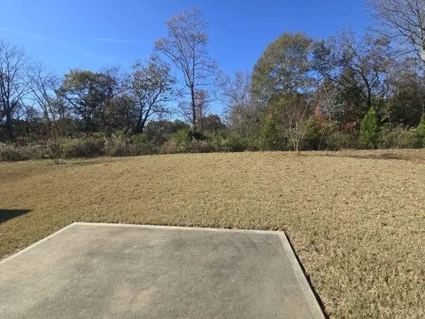 $2,400 | 49 Osprey Overlook Drive, Braselton, GA 30517