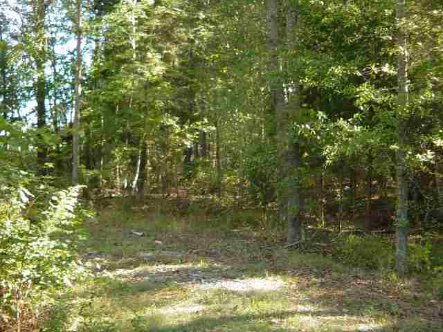 40.75-acres Brock Road Honea Path, SC 29654 - Photo 3 of 4