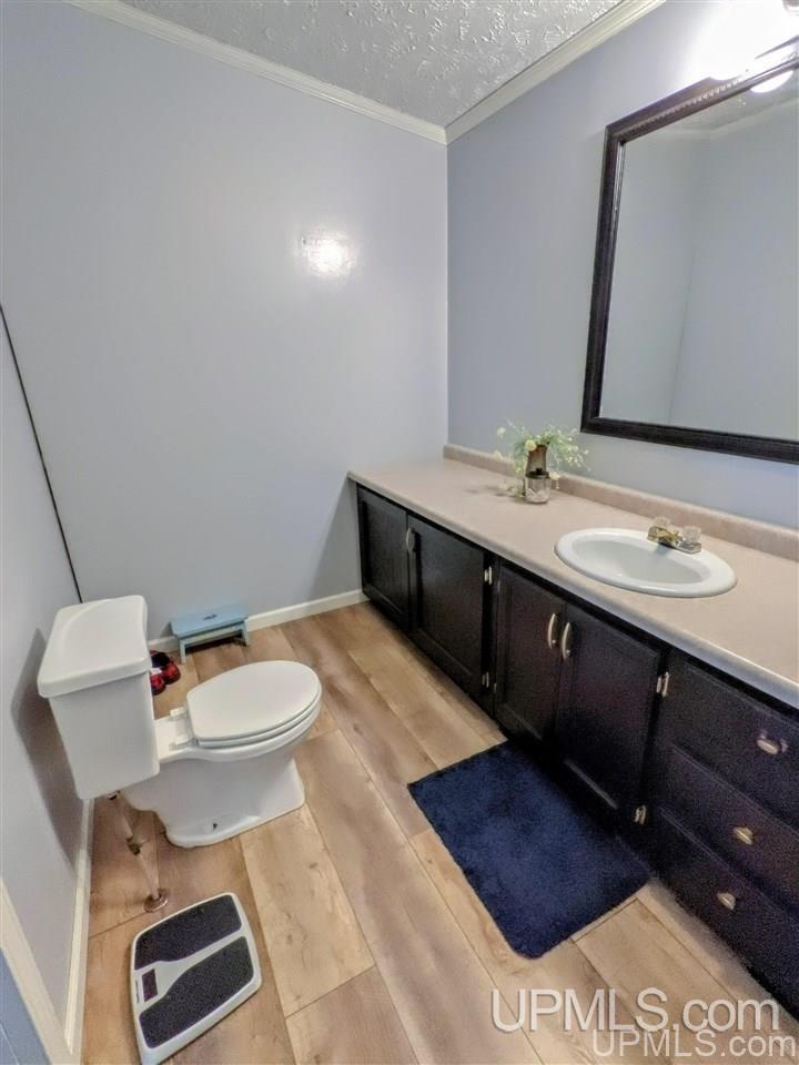 3163 North Gulliver Lake Road Gulliver, MI 49840 - Photo 27 of 49