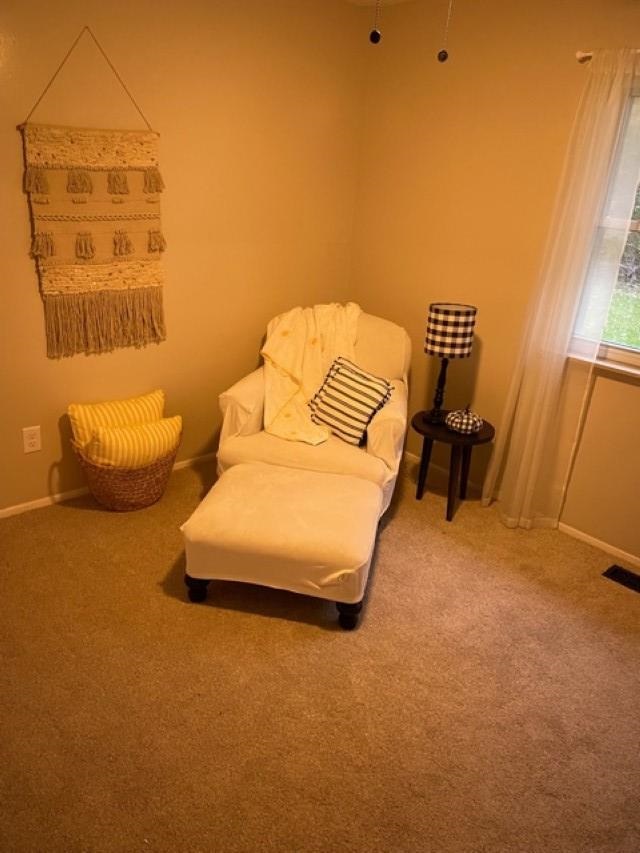 7426 Lehring Road Bancroft, MI 48414 - Photo 17 of 22