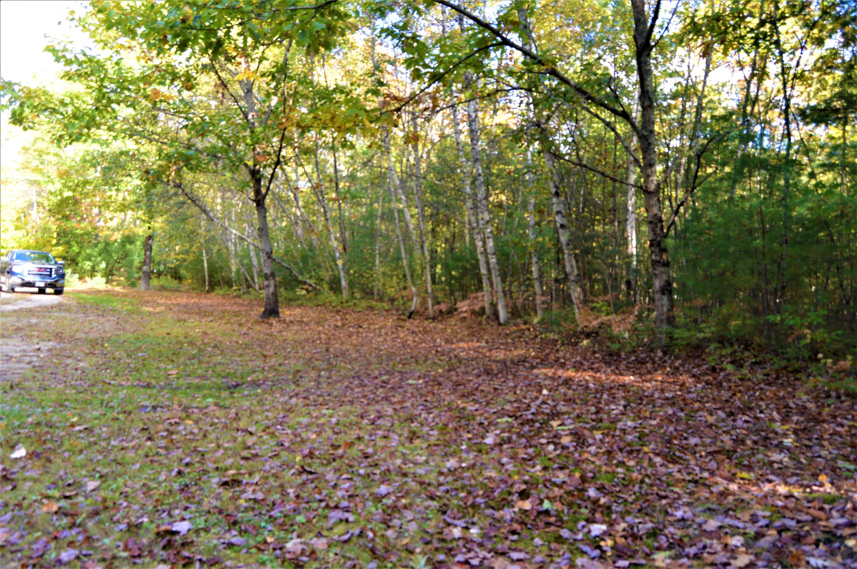166 Snow Hill Road New Gloucester, ME 04260 - Photo 27 of 31 side yard