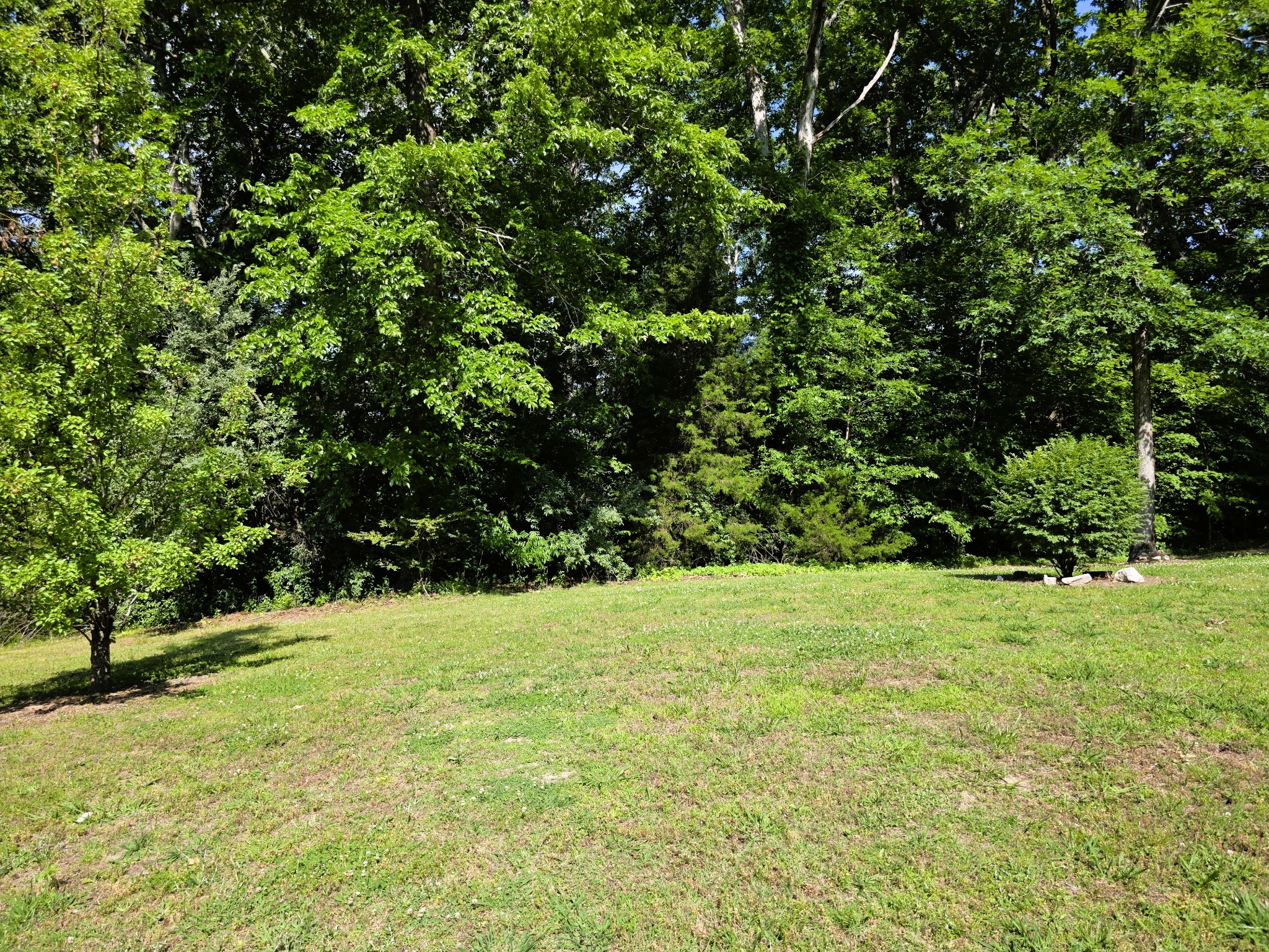 1975 Kelly Road Holladay, TN 38341 - Photo 86 of 95