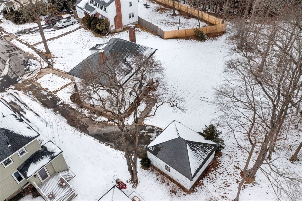 10 Hinckley Road Newton, MA 02468 - Photo 39 of 41 a view of a trees in a backyard