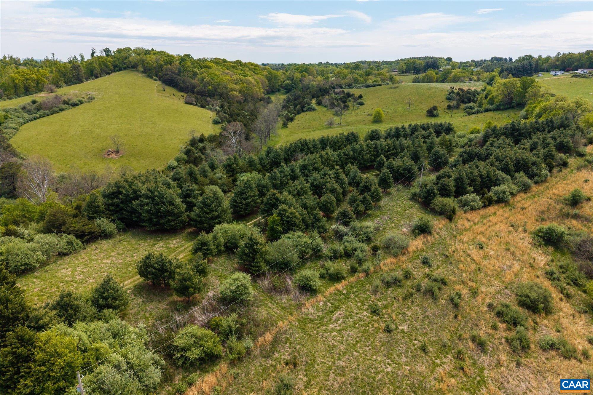 7360 Neck Creek Road Belspring, VA 24058 - Photo 43 of 62