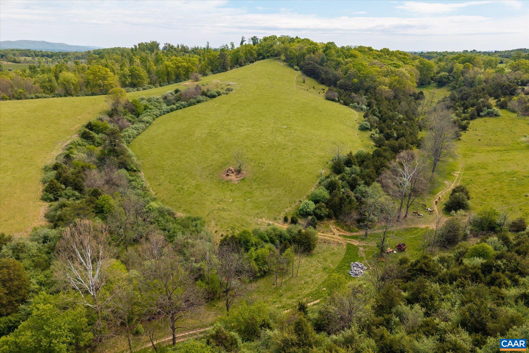 7360 Neck Creek Road Belspring, VA 24058 - Photo 44 of 62