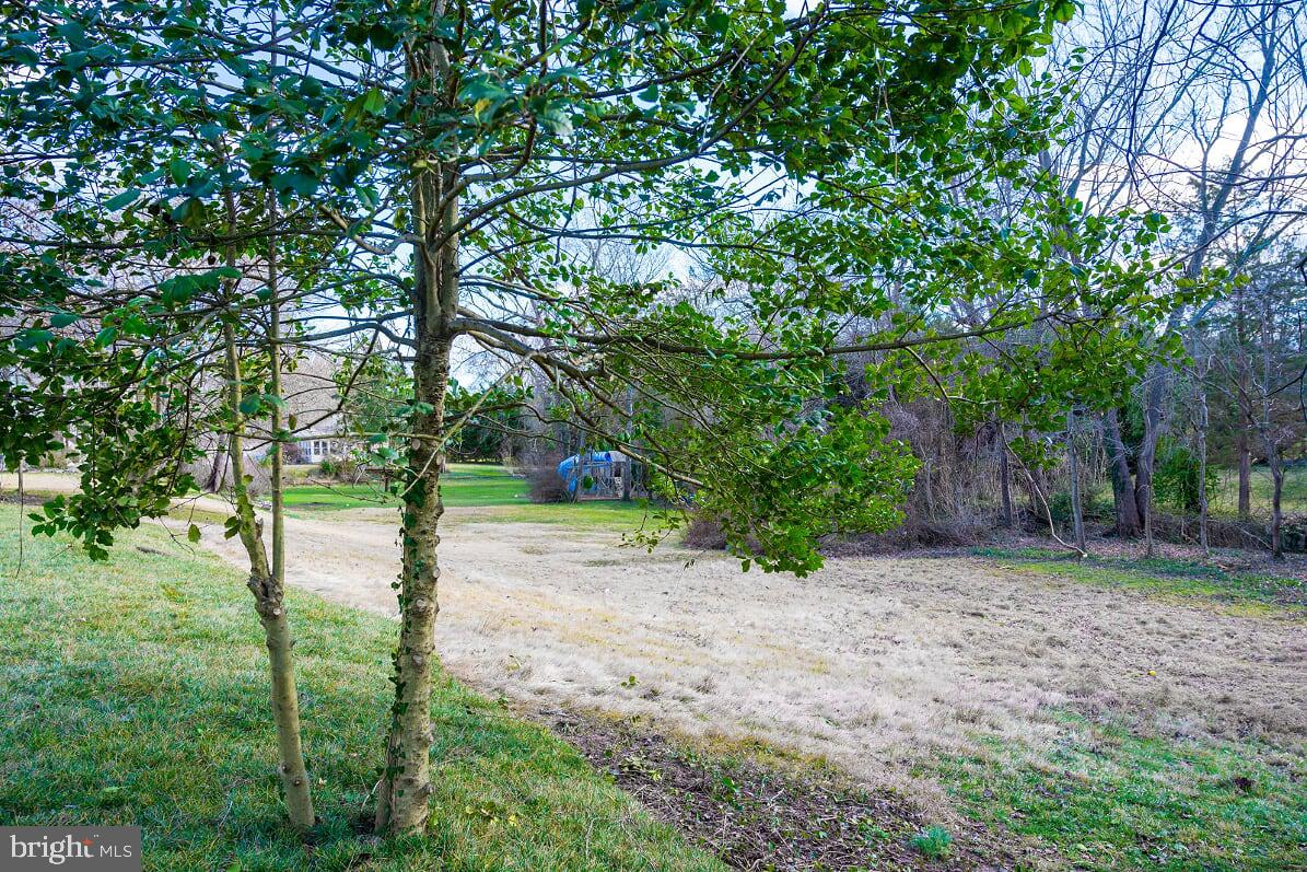 6809 Rosemont Drive McLean, VA 22101 - Photo 20 of 20 Almost half acre private lot.
