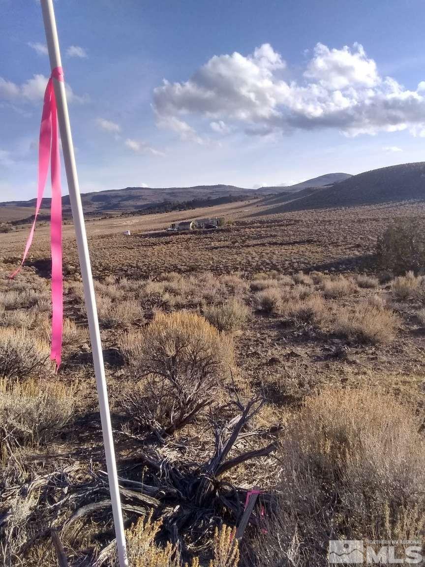 3395 Basque Oven Road Reno, NV 89510 - Photo 2 of 40 a view of roof with a yard