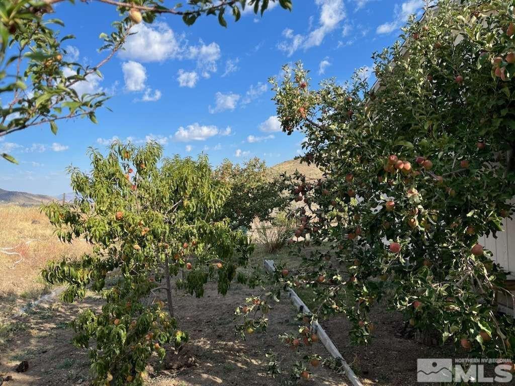 3395 Basque Oven Road Reno, NV 89510 - Photo 10 of 40 a view of a tree