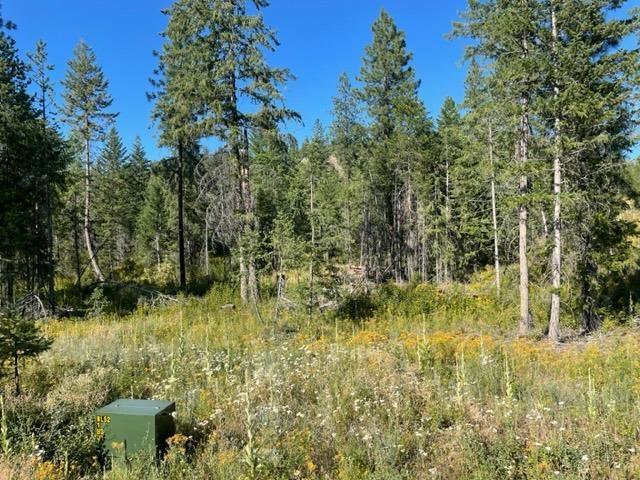 Nkn Bead Lake Road Oldtown, ID 83822 - Photo 12 of 13