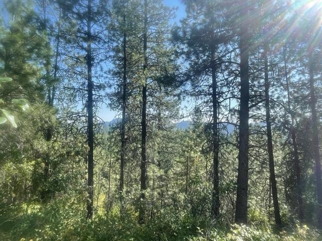 Nkn Bead Lake Road Oldtown, ID 83822 - Photo 2 of 13