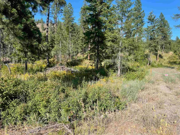 $205,000 | Nkn Bead Lake Road, Oldtown, ID 83822