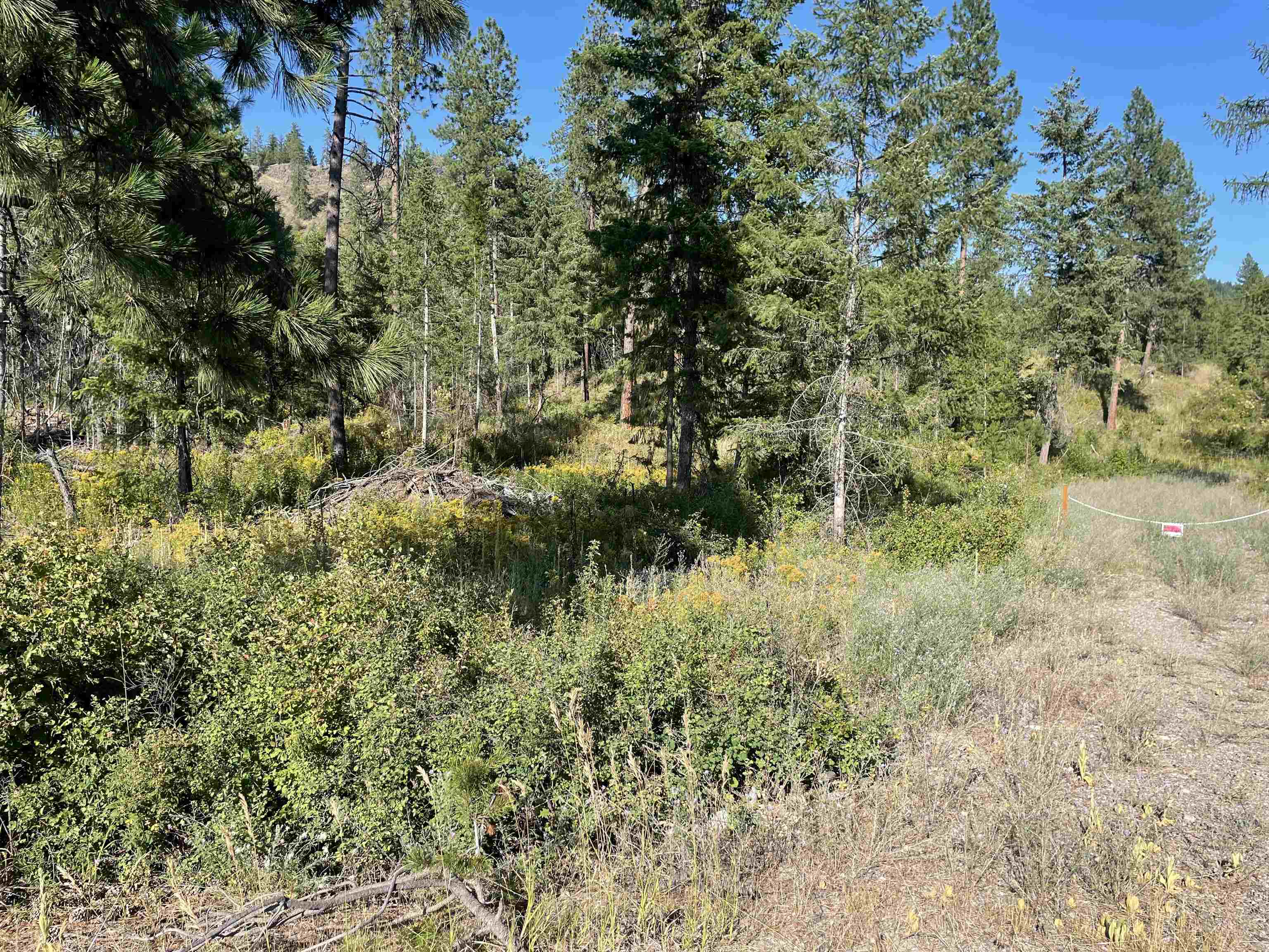 Nkn Bead Lake Road Oldtown, ID 83822 - Photo 4 of 13