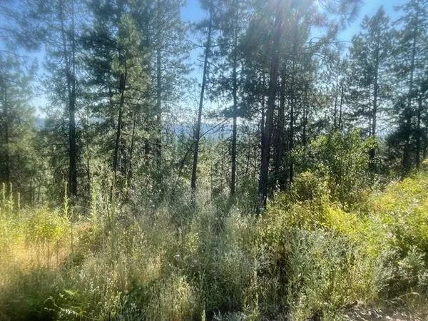 $205,000 | Nkn Bead Lake Road, Oldtown, ID 83822