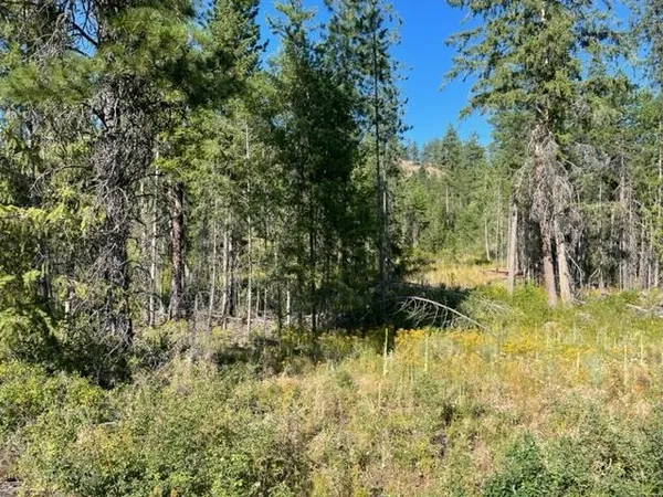 $205,000 | Nkn Bead Lake Road, Oldtown, ID 83822