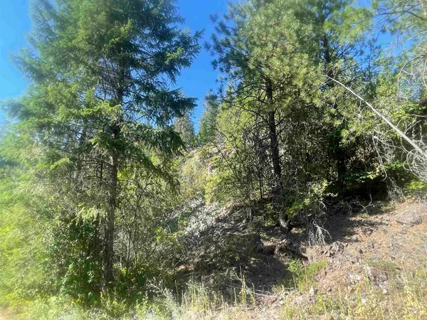 $205,000 | Nkn Bead Lake Road, Oldtown, ID 83822