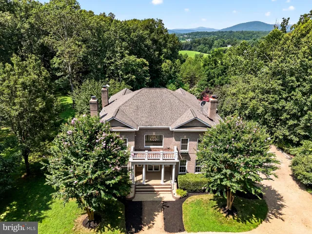 a view of a trees with a yard