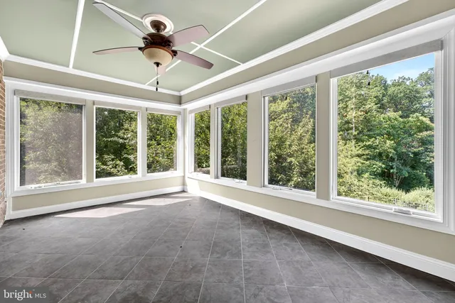 a view of a tree with a yard