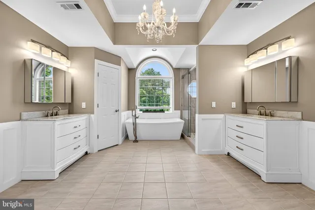 a view of a lush green forest