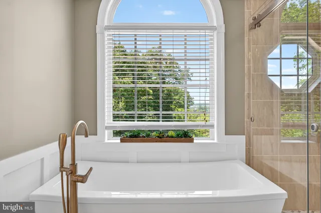a view of a lush green forest with a house in the background