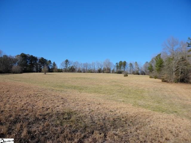 South Moore Road Fountain Inn, SC 29644 - Photo 1 of 7