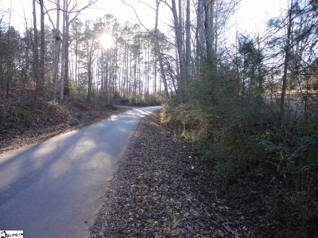 South Moore Road Fountain Inn, SC 29644 - Photo 2 of 7