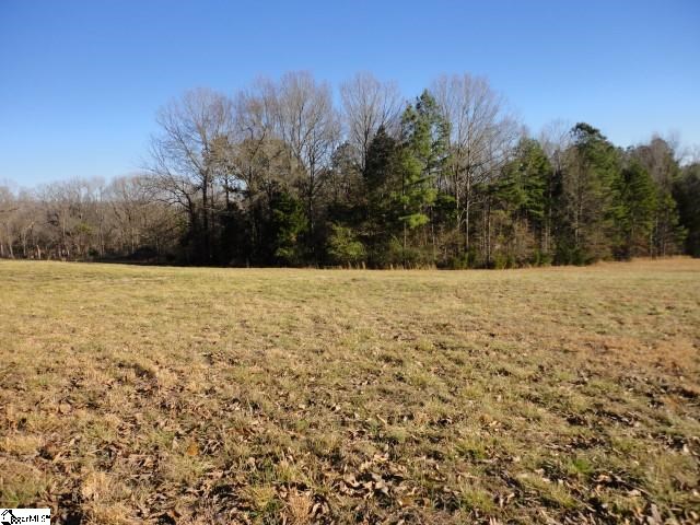 South Moore Road Fountain Inn, SC 29644 - Photo 3 of 7