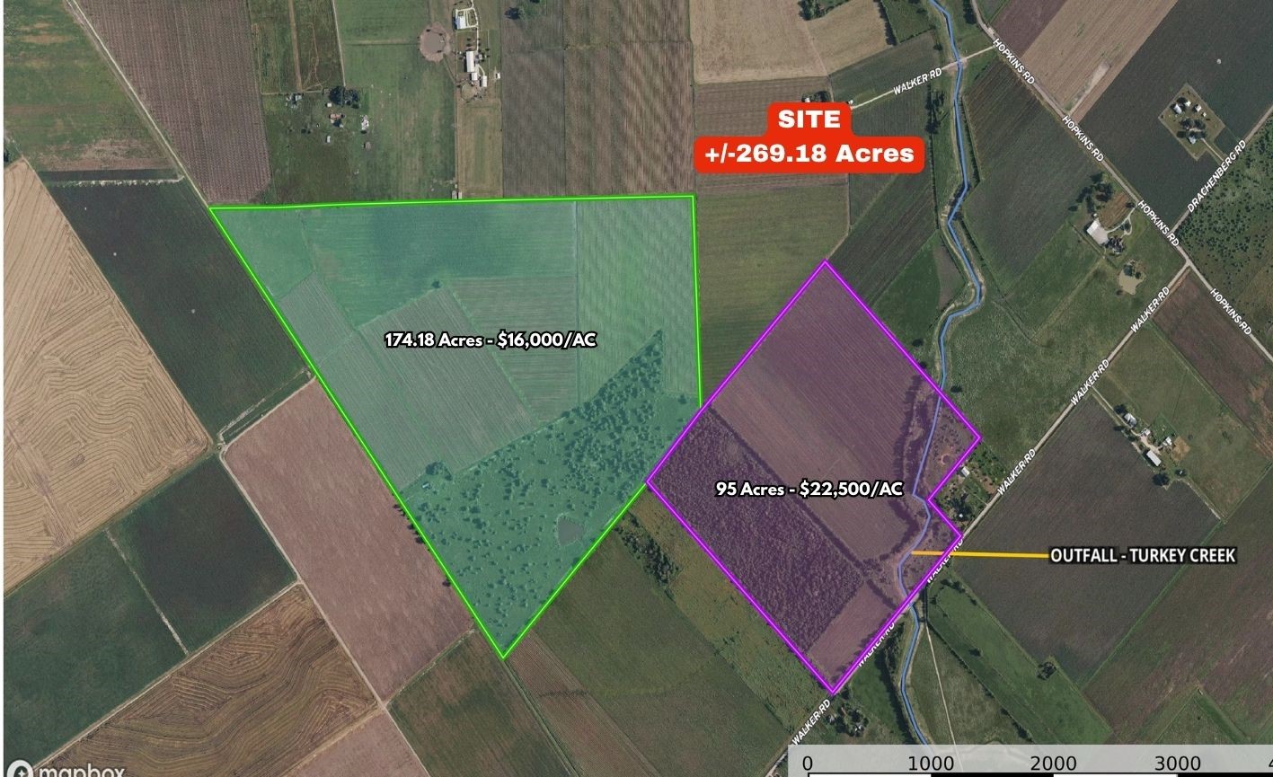 10542 Walker Road Beasley, TX 77417 - Photo 23 of 25 174.18 additional acres available