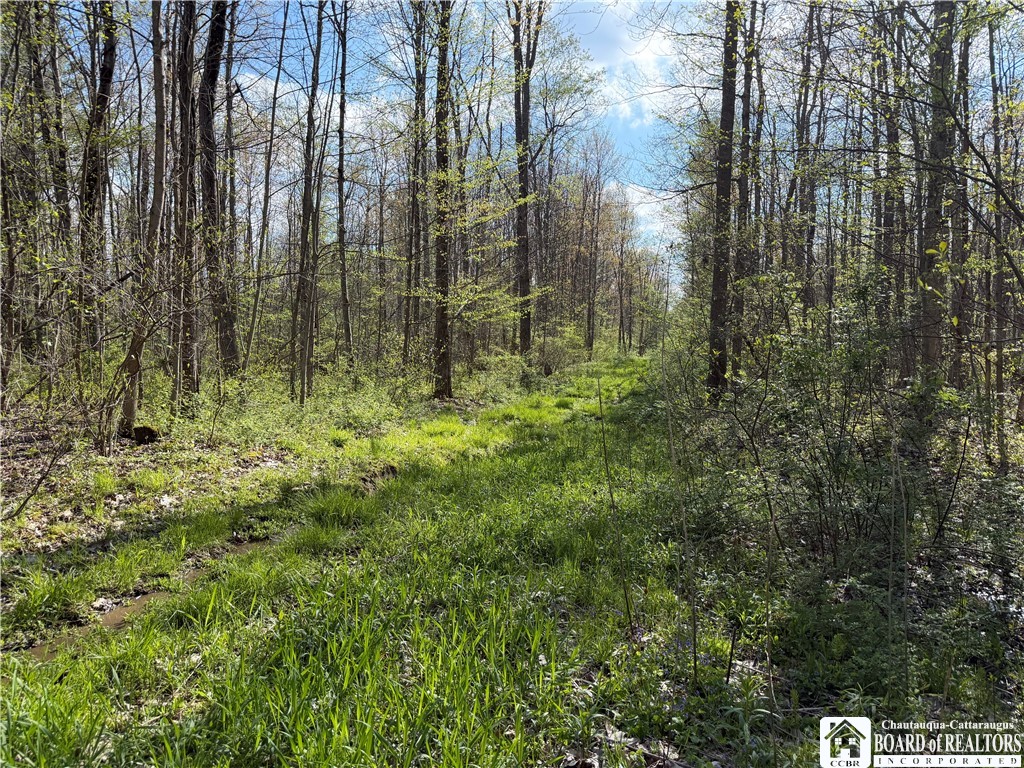 0 Scott Hill Road Kennedy, NY 14747 - Photo 14 of 16