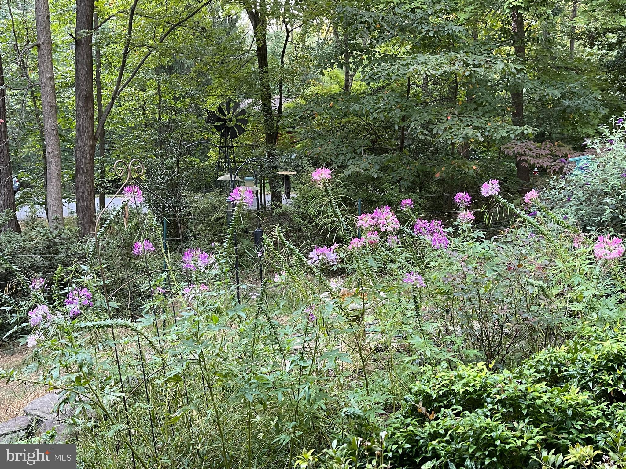 2605 Deerdell Lane Reston, VA 20191 - Photo 40 of 45 wildlife habitat