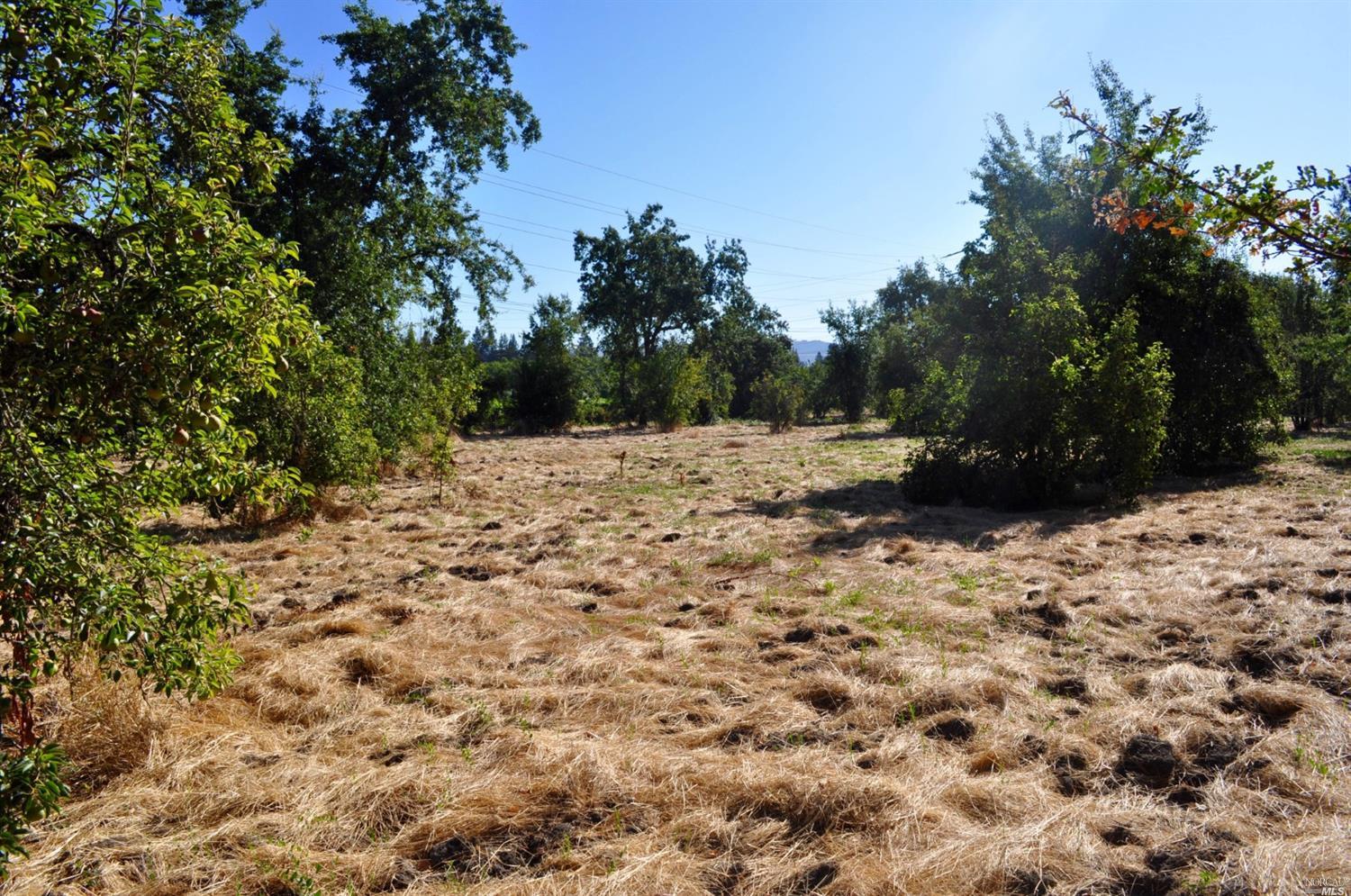 0 Barnes Road Santa Rosa, CA 95403 - Photo 1 of 1 a view of a backyard of the house