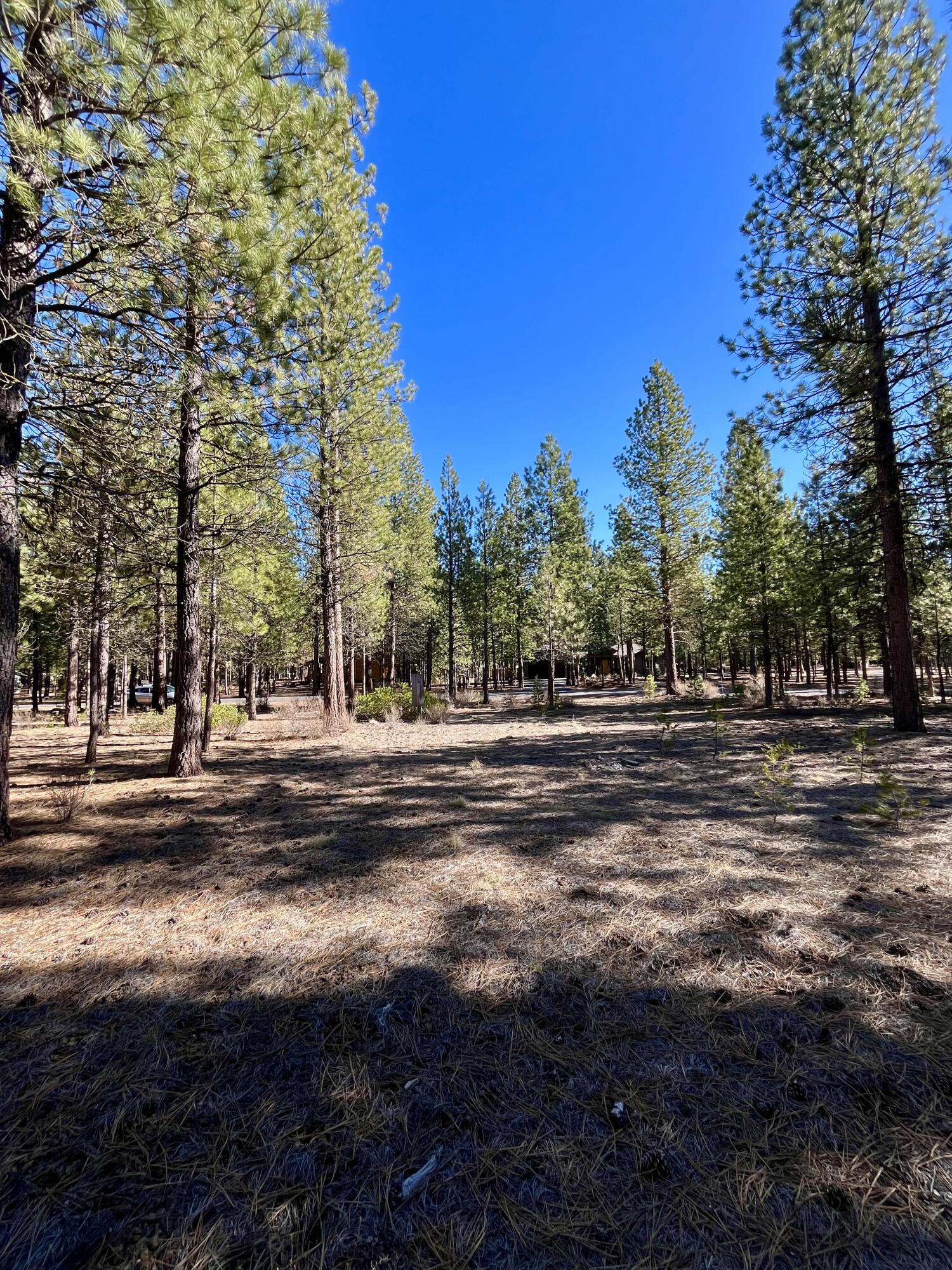 14171 Whitewater Loop La Pine, OR 97739 - Photo 8 of 16 14171-7