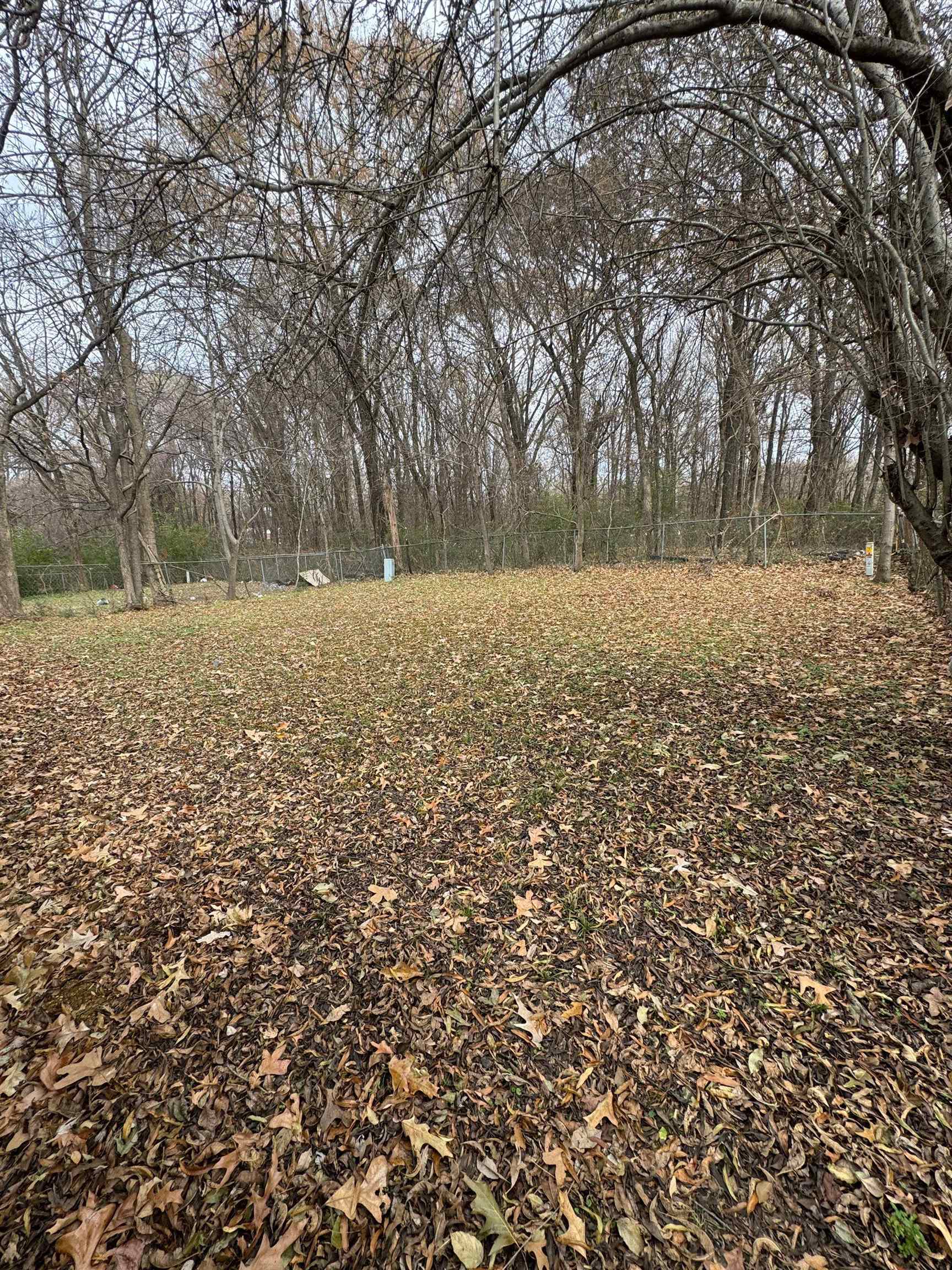 4528 Sugar Creek Road Memphis, TN 38118 - Photo 15 of 19 a view of yard with trees