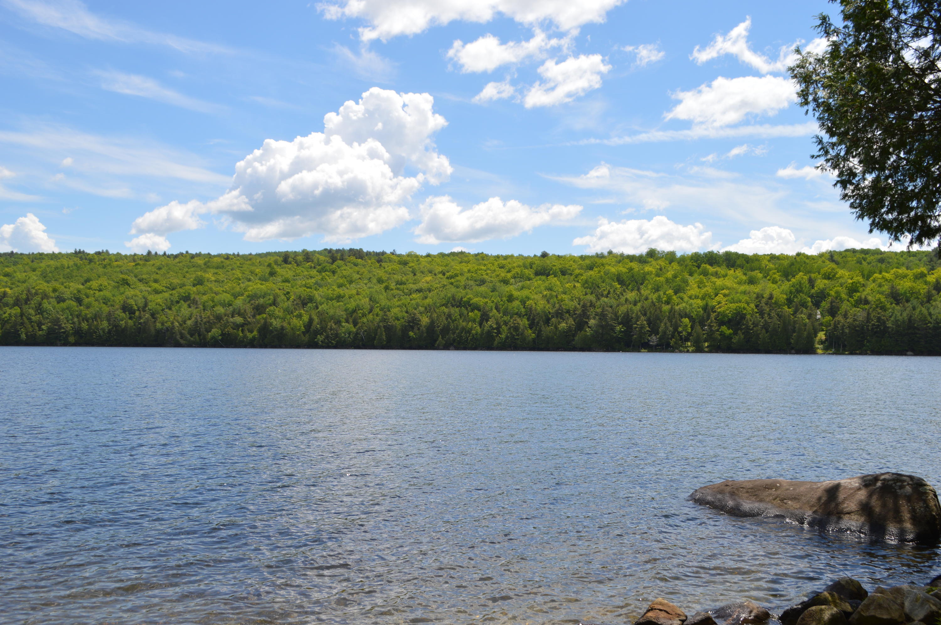 230 Quiet Harbor Road Mount Vernon, ME 04352 - Photo 75 of 99 DSC_0217