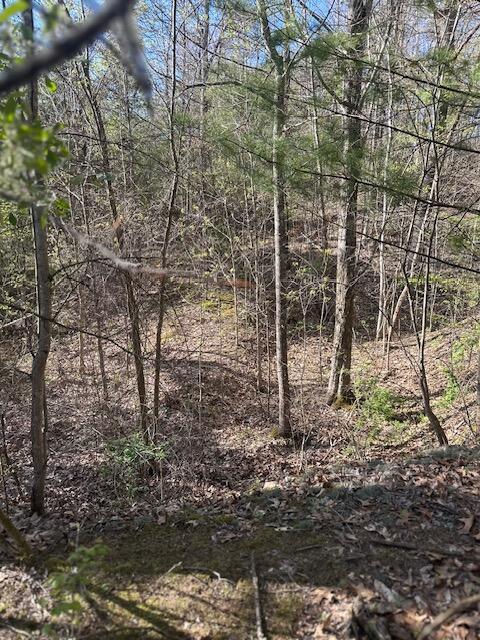 35310 Geiger Road Logan, OH 43138 - Photo 14 of 56 IMG_8844