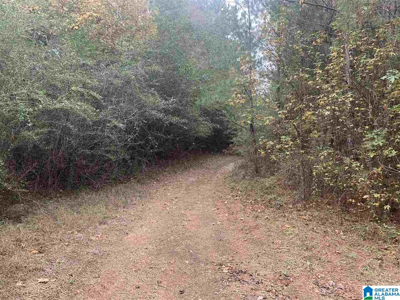 0 Homestead Drive, Unit 1 Springville, AL 35146 - Photo 3 of 32