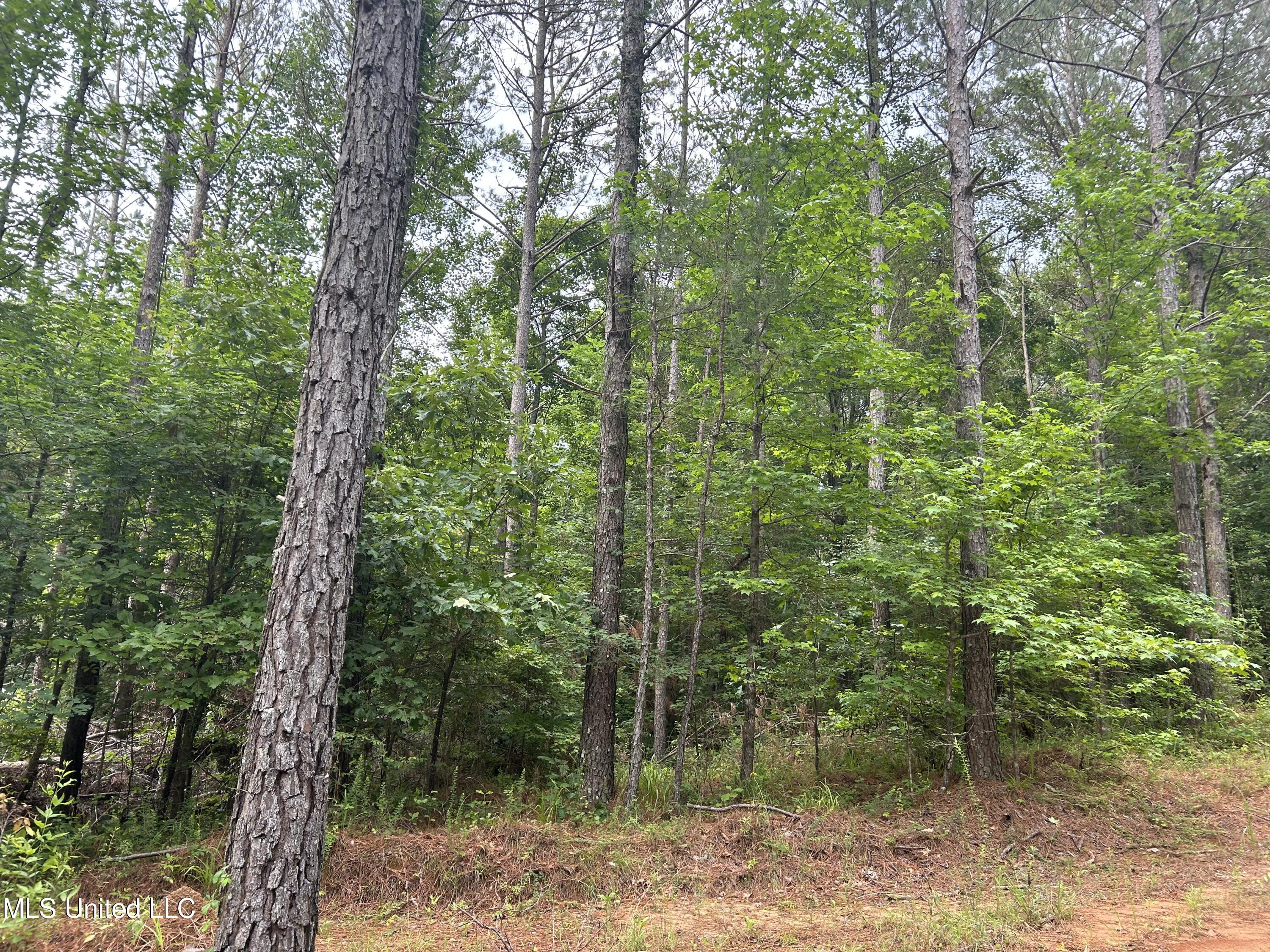 212 County Road Water Valley, MS 38965 - Photo 55 of 72 Photo Jun 13 2023, 11 27 14 AM