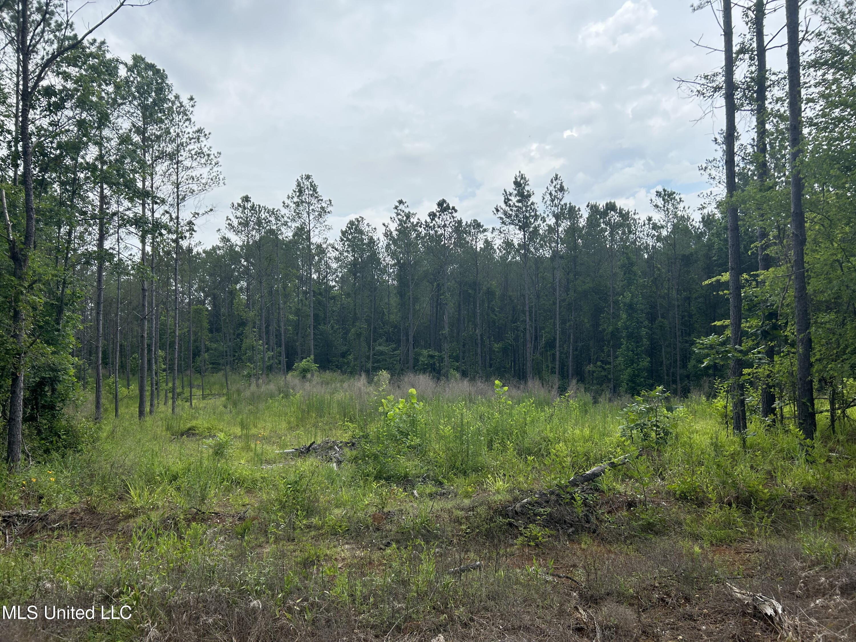 212 County Road Water Valley, MS 38965 - Photo 57 of 72 Photo Jun 13 2023, 11 31 16 AM