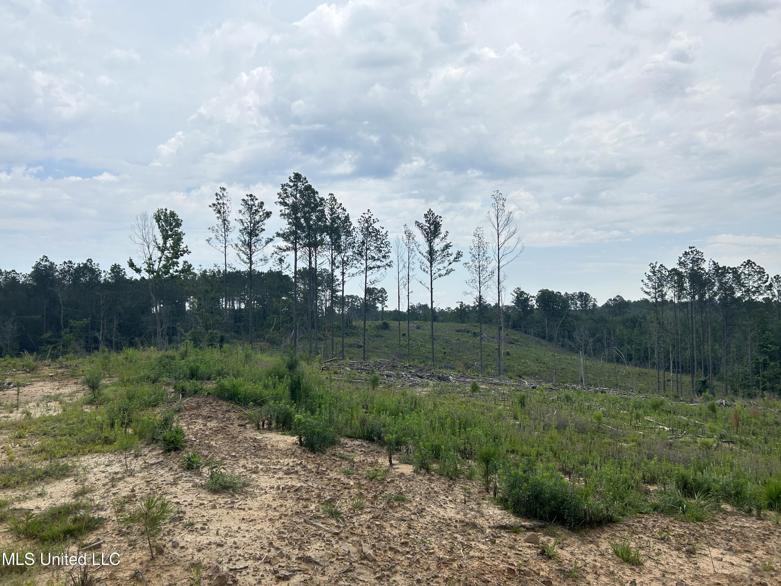 212 County Road Water Valley, MS 38965 - Photo 60 of 72 Photo Jun 13 2023, 11 32 40 AM