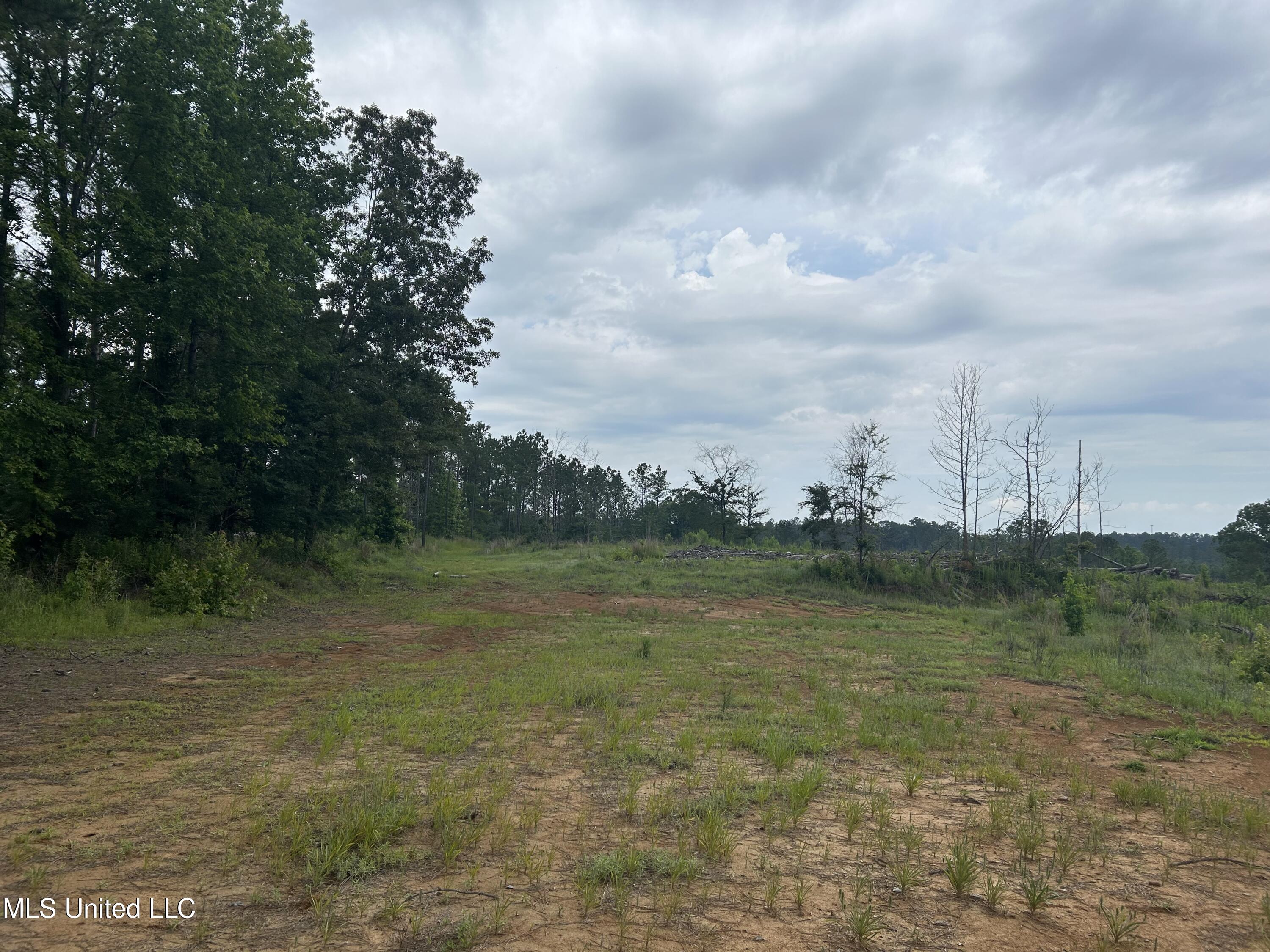 212 County Road Water Valley, MS 38965 - Photo 67 of 72 Photo Jun 13 2023, 11 45 03 AM