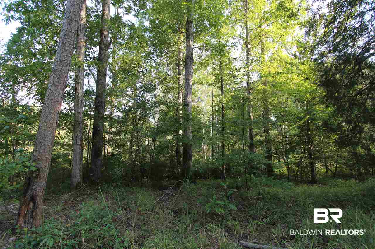 794 Dry Lake Road Luverne, AL 36049 - Photo 39 of 48 Hardwoods