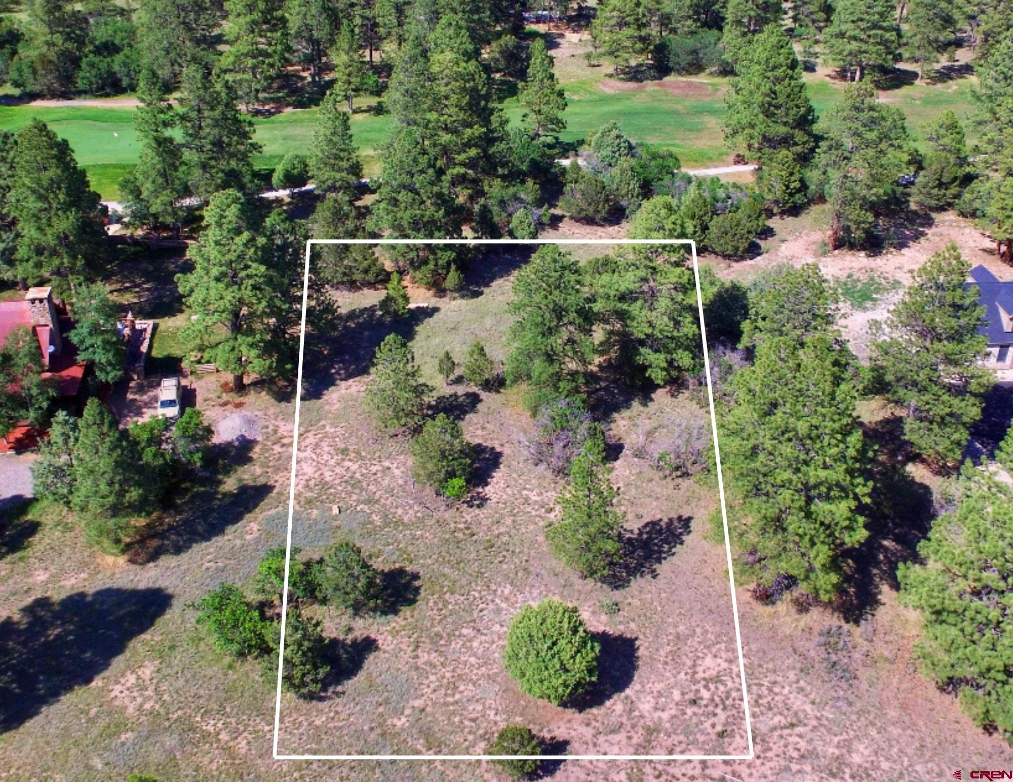 170 Puma Lane Ridgway, CO 81432 - Photo 2 of 7 a view of a garden with large trees
