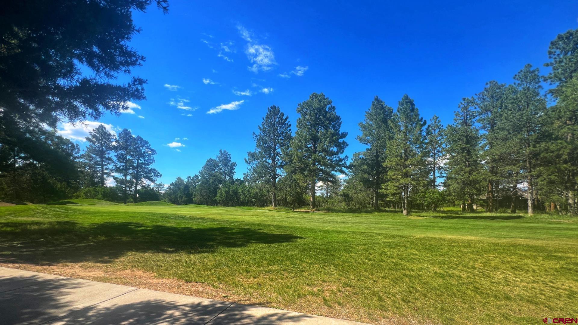 170 Puma Lane Ridgway, CO 81432 - Photo 3 of 7 a view of a golf course