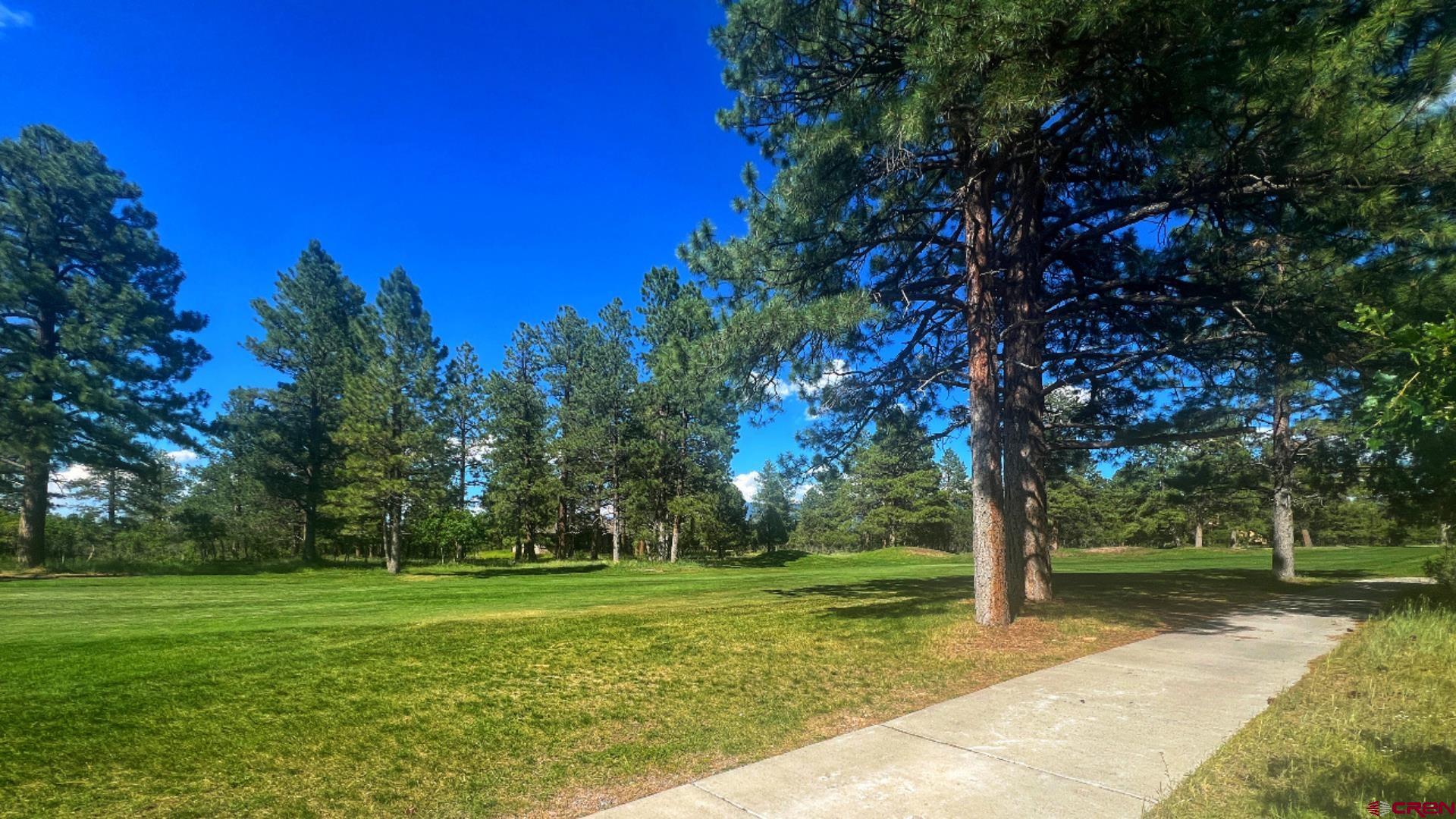 170 Puma Lane Ridgway, CO 81432 - Photo 4 of 7 a view of a park with tree s