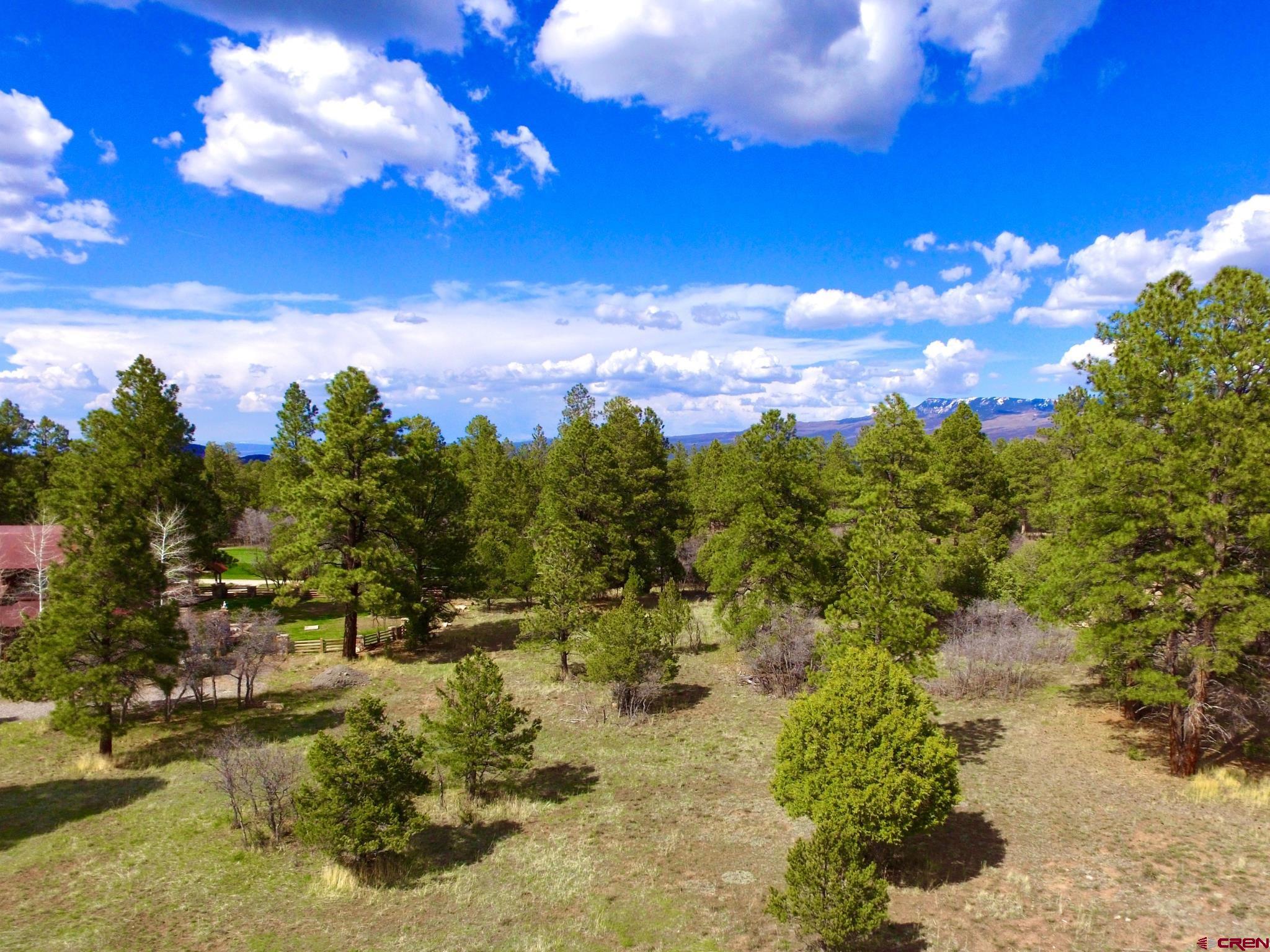 170 Puma Lane Ridgway, CO 81432 - Photo 6 of 7 a view of a pathway with a yard