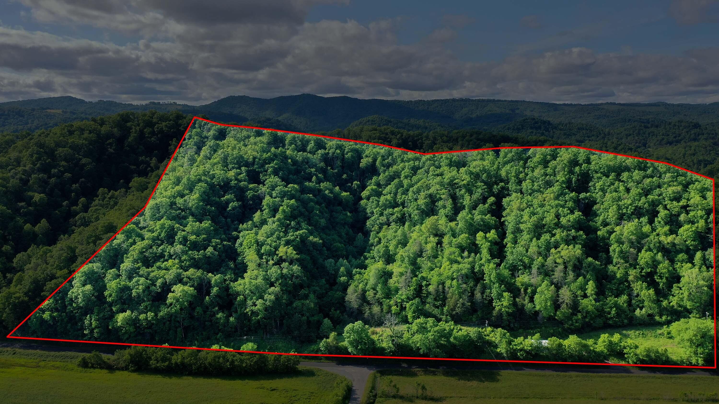 9692 Fairview Road Blackwater, VA 24221 - Photo 1 of 11 DJI_0338