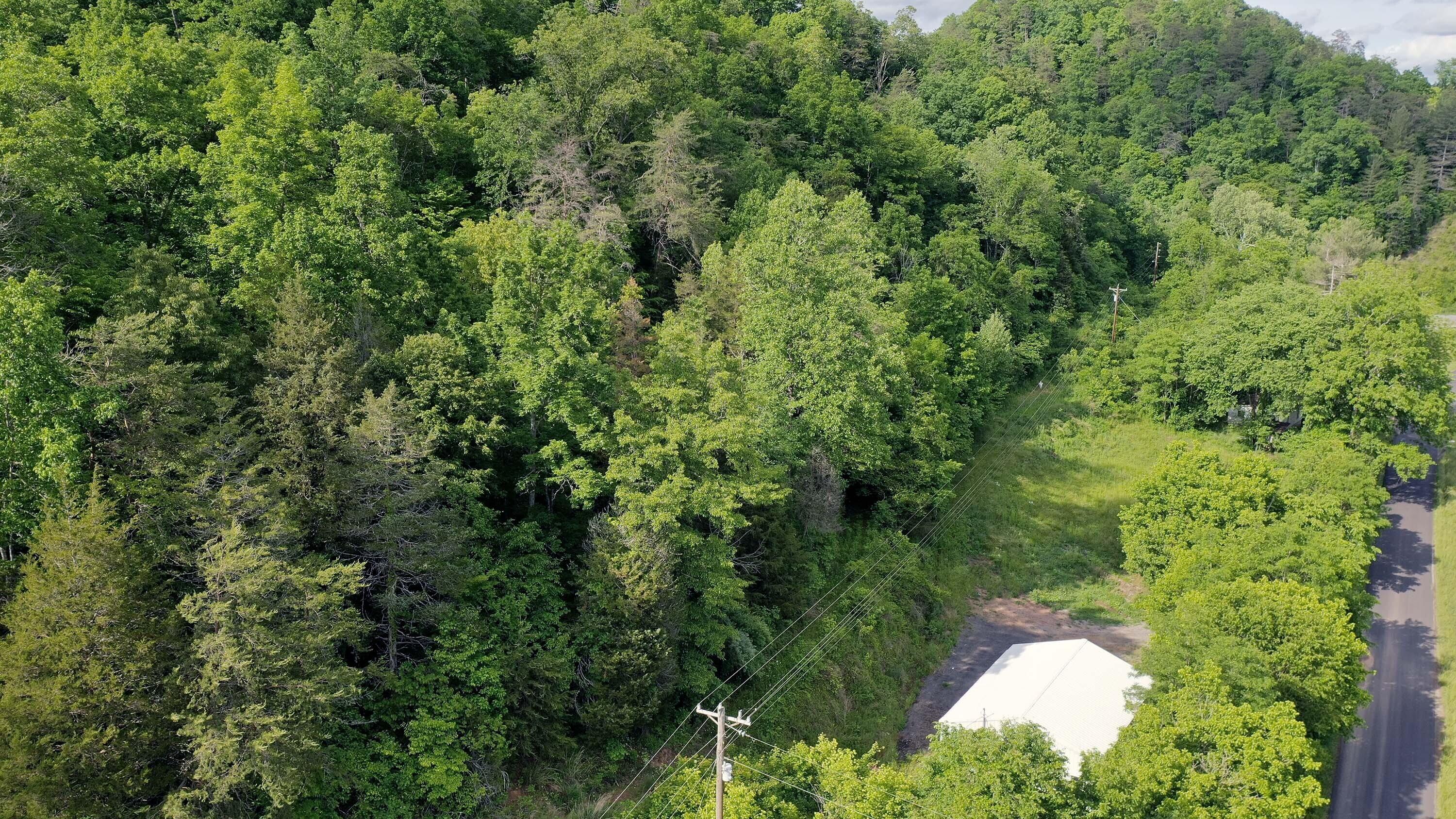 9692 Fairview Road Blackwater, VA 24221 - Photo 3 of 11 DJI_0345